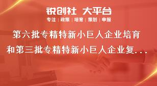 第六批专精特新小巨人企业培育和第三批专精特新小巨人企业复核工作推荐要求奖补政策