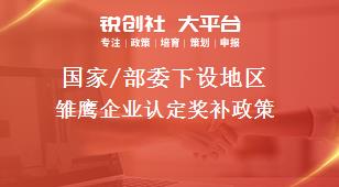 国家/部委下设地区雏鹰企业认定奖补政策