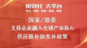 国家/部委支持企业融入全球产业核心供应链补助奖补政策