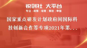 国家重点研发计划政府间国际科技创新合作等专项2021年第二批项目申报工作流程奖补政策