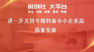 进一步支持专精特新中小企业高质量发展奖补政策