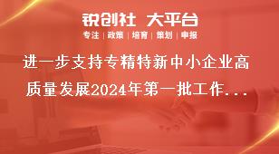 进一步支持专精特新中小企业高质量发展2024年第一批工作要求奖补政策