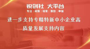 进一步支持专精特新中小企业高质量发展支持内容奖补政策