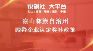 凉山彝族自治州瞪羚企业认定奖补政策