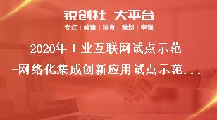 2020年工业互联网试点示范-网络化集成创新应用试点示范项目内容要求奖补政策