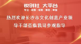 热烈欢迎长沙市文化创意产业领导干部莅临我司参观指导奖补政策