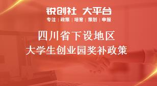 四川省下设地区大学生创业园奖补政策