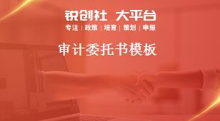 审计委托书模板奖补政策